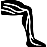 https://www.fisioterapiagaluppini.it/wp-content/uploads/2026/10/leg-veins-icon-2529057-512-160x160.png