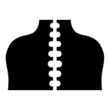 https://www.fisioterapiagaluppini.it/wp-content/uploads/2026/10/spine-icon-1959526-512-160x160.png